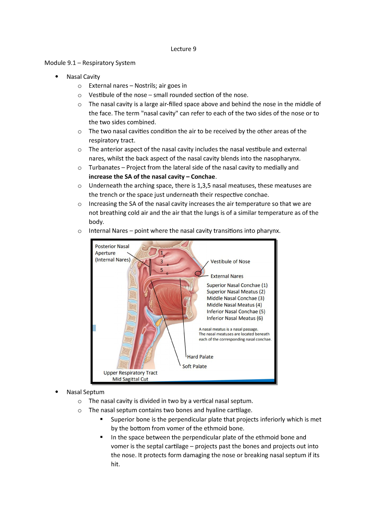 Module 9.1, 9.2, 9.3 & 9.4 - LFS122 Human Anatomy - USC - StuDocu