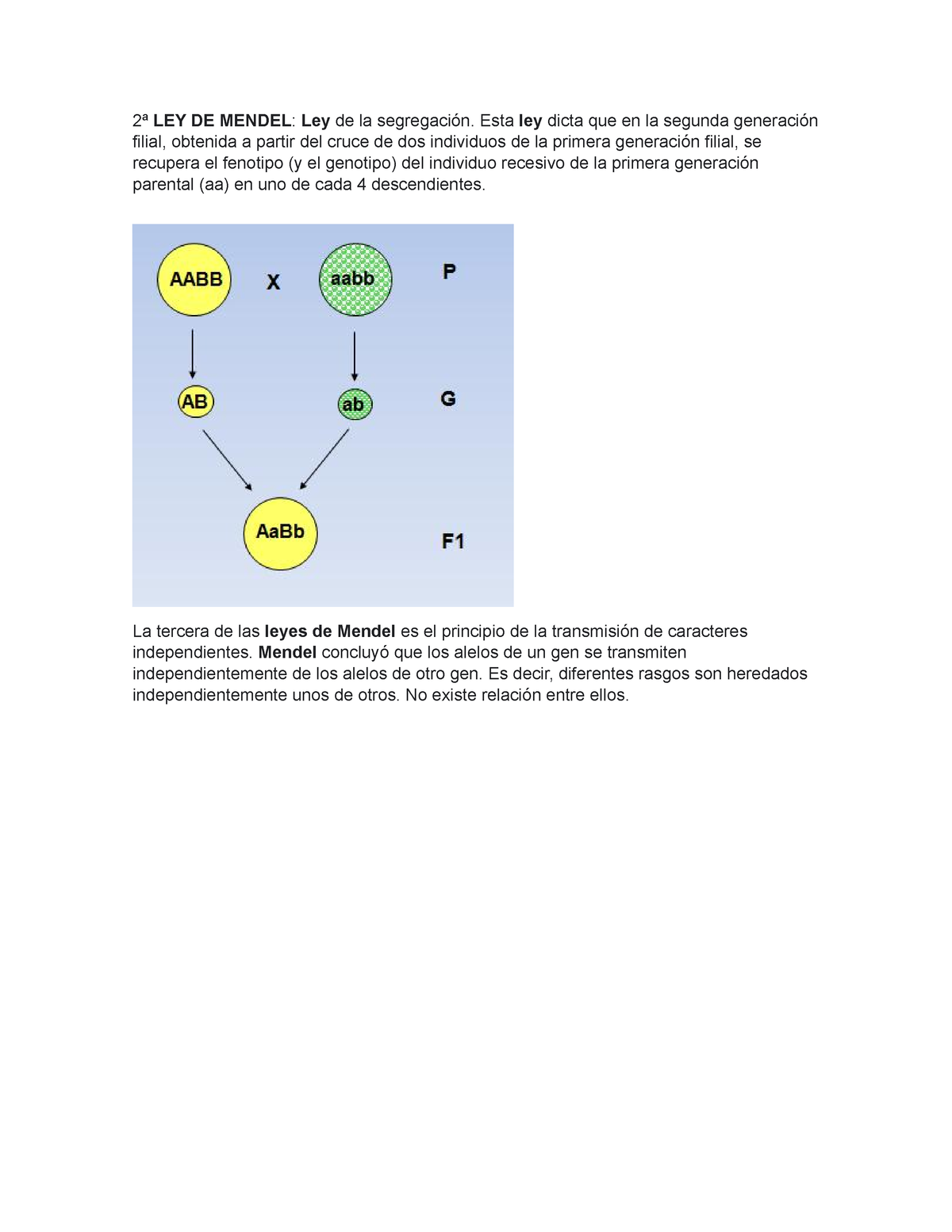 2ª - FFF - 2ª LEY DE MENDEL : Ley de la segregación. Esta ley dicta que en  la segunda generación - Studocu