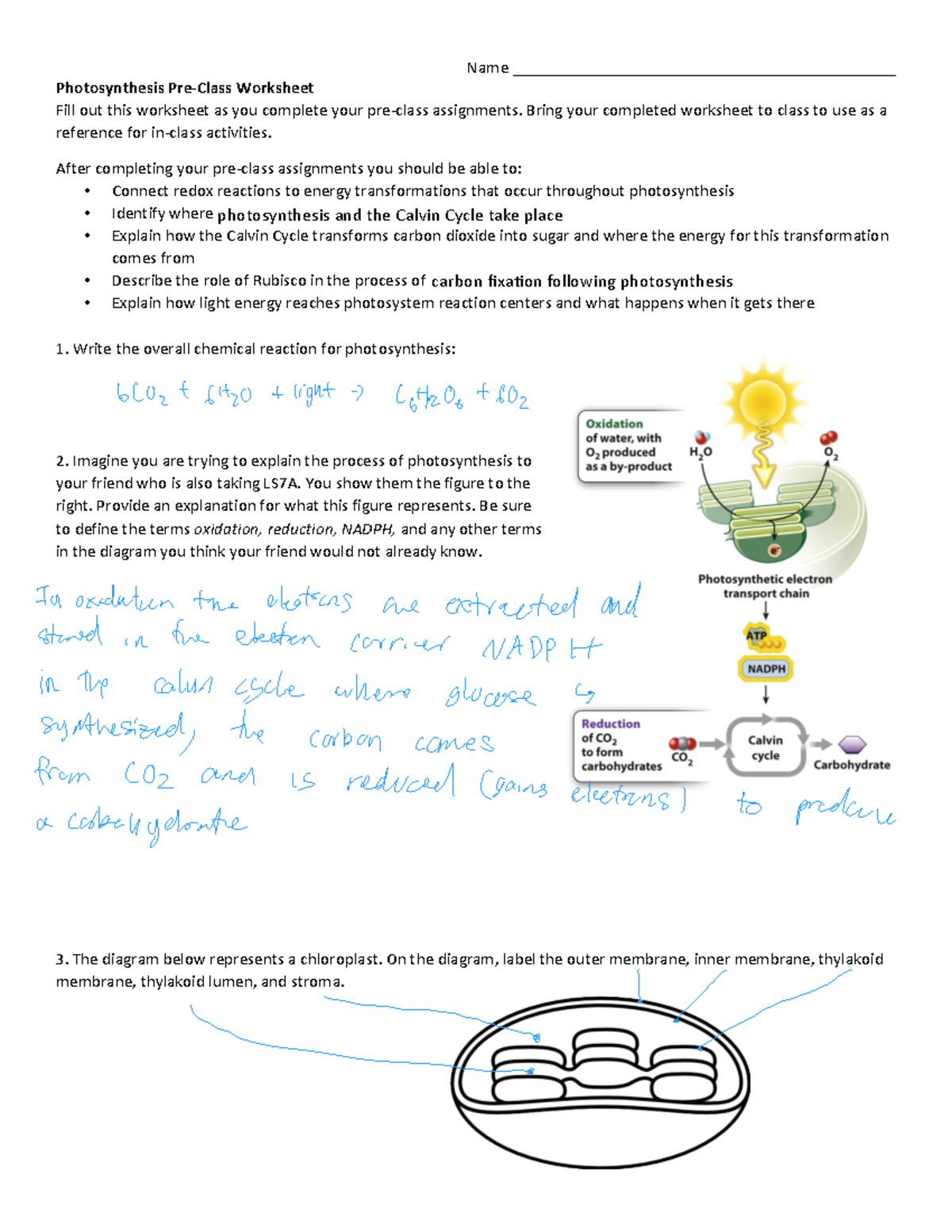 week-4b-photosynthesis-reading-guide-name