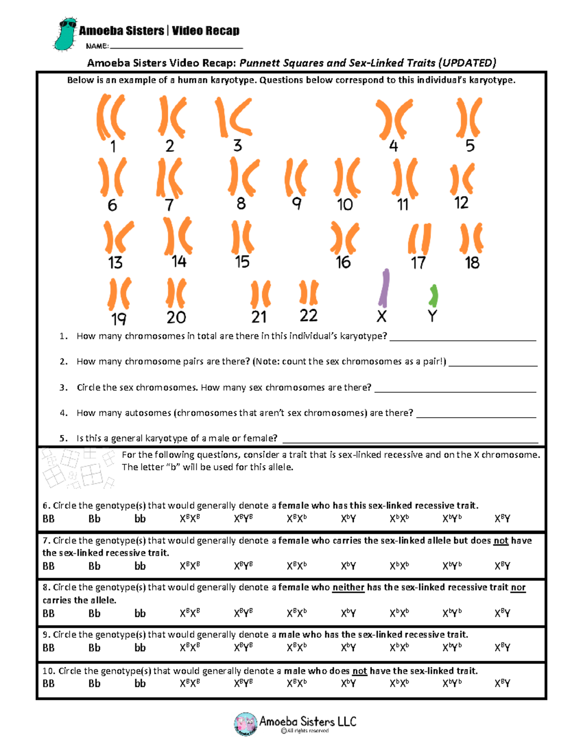 Sex Linked Traits Video Worksheet Amoeba Sisters Video Recap Punnett Squares And Sex Linked 6636