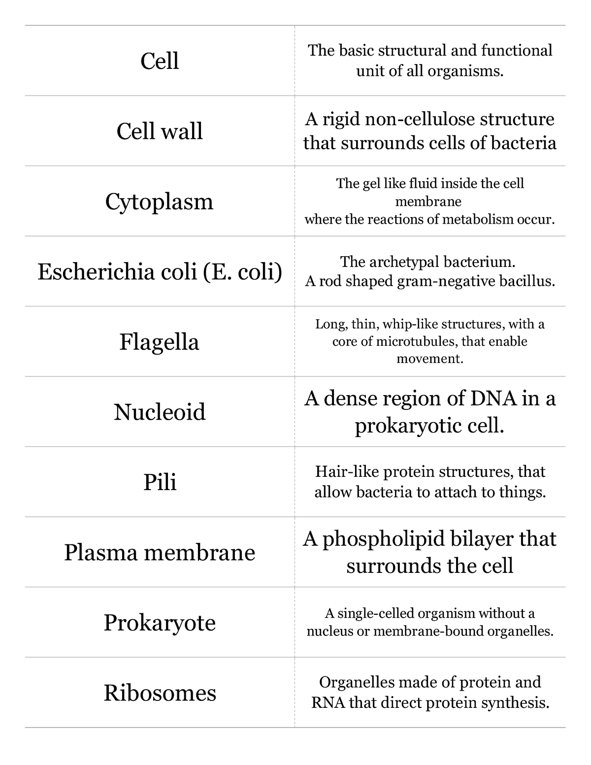 Ecoli Prokaryote Flashcards - Cell The Basic Structural And Functional 