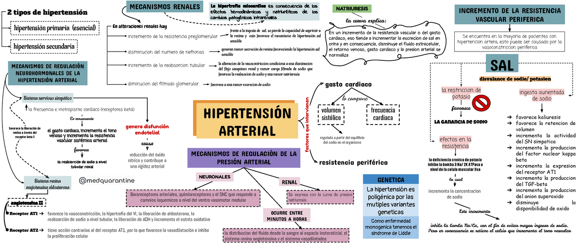 Hipertencion- mapa conceptual completo 2020 - Fisiopatología - URP - Studocu