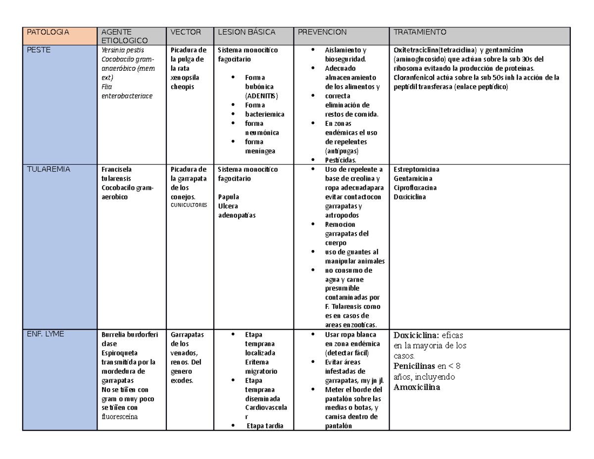 Patologia - cuadro - PATOLOGIA AGENTE ETIOLOGICO VECTOR LESION BÁSICA