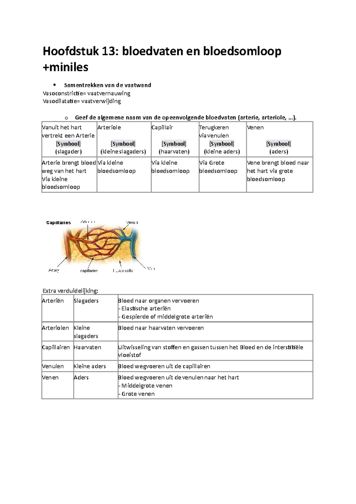 Keypoint Hoofdstuk 13 Bloedvaten - Hoofdstuk 13: Bloedvaten En ...