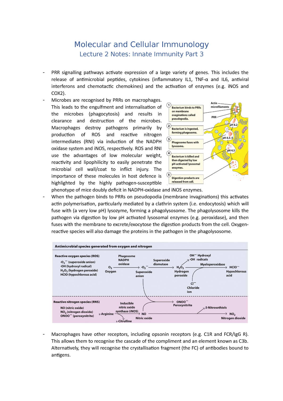 Lecture 2 Notes (Innate Immunity Part 3) - Molecular And Cellular ...