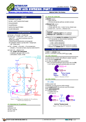 Fatty Acid Oxidation Part two Illustration atf - Metabolism Fatty Acid ...