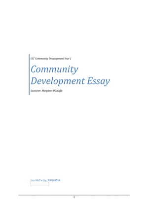 community development reflection essay