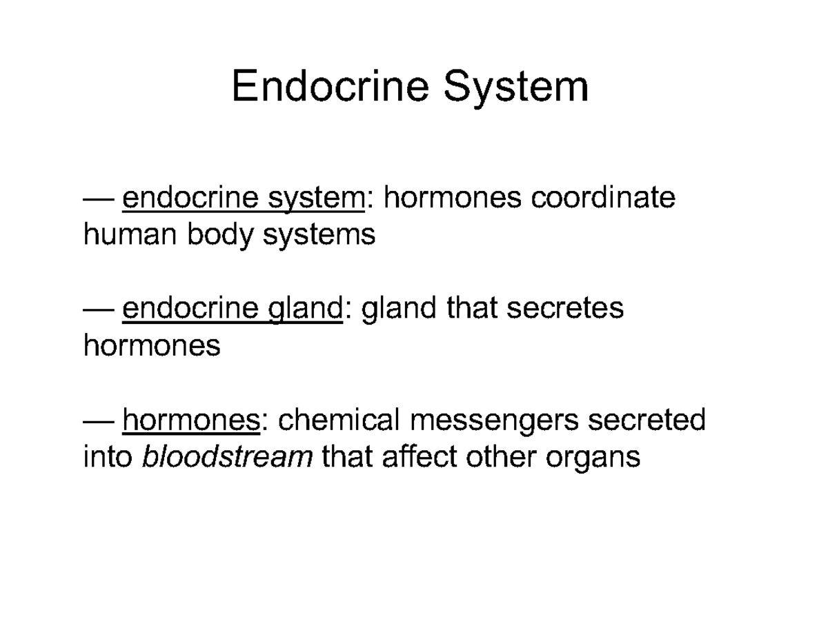 1 Endocrine system annotated notes MID1 - Endocrine System — endocrine ...