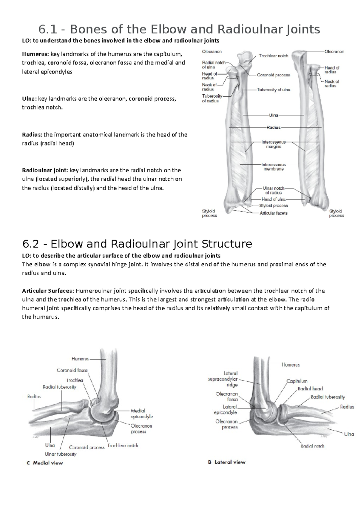 Week 6 elbow and radius - muscles, bones and movements - Manual of ...