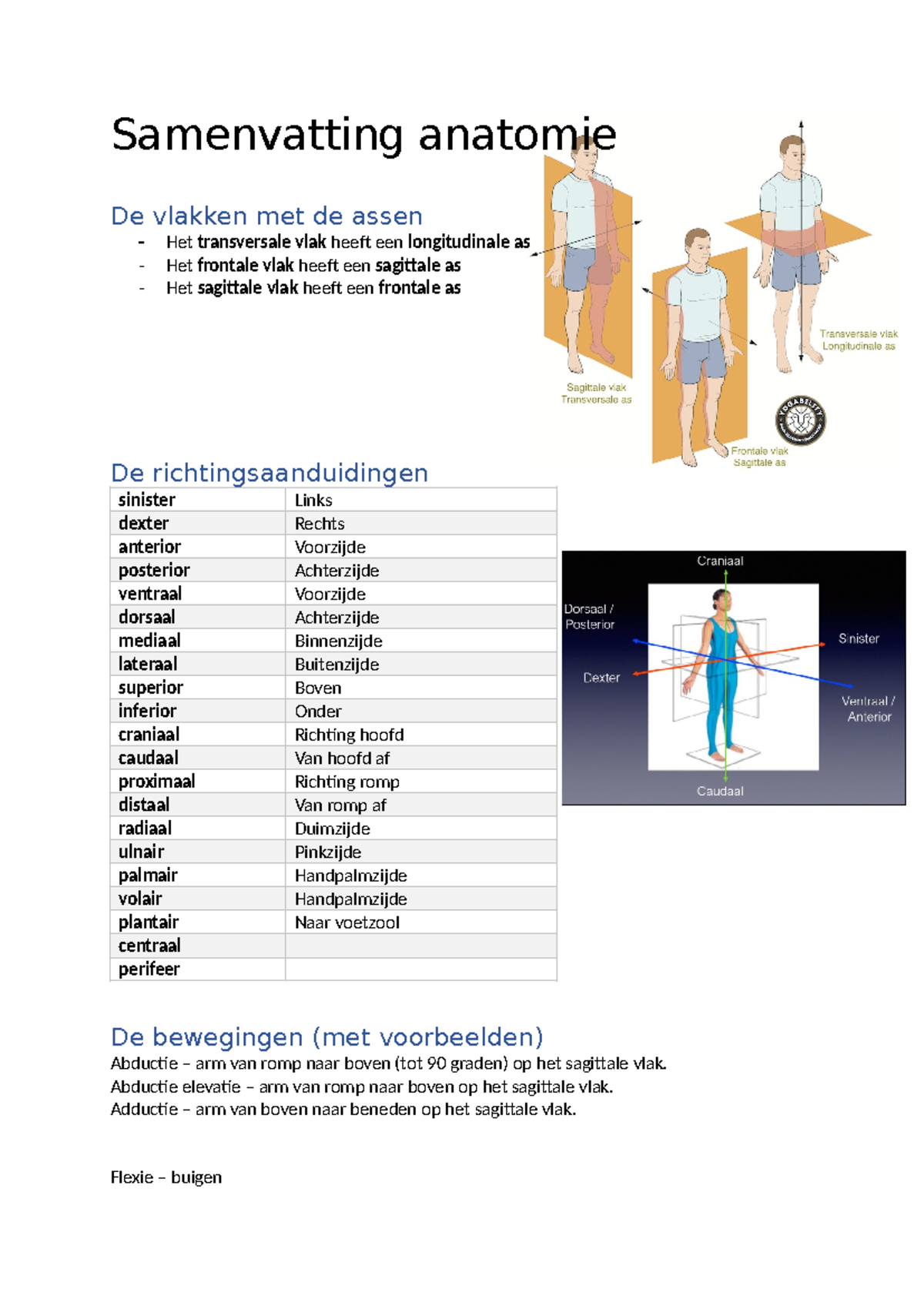 Samenvatting Anatomie 1 Samenvatting Anatomie De Vlakken Met De Assen 