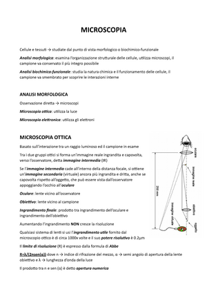 Microscopia ottica vs. Microscopia elettronica: quale tecnica scegliere? -  Alfatest