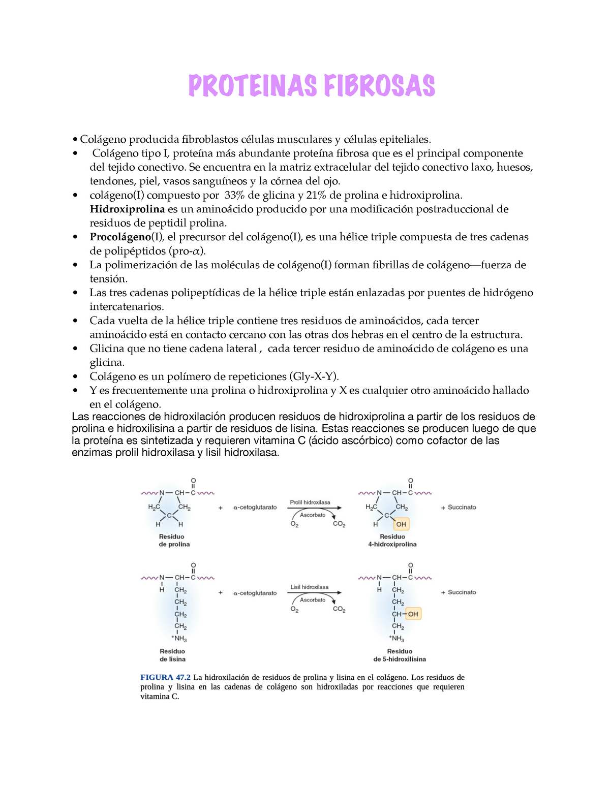 Fibrosas Bioquímica Proteinas Fibrosas Colágeno Producida Fibroblastos Células Musculares Y 0292