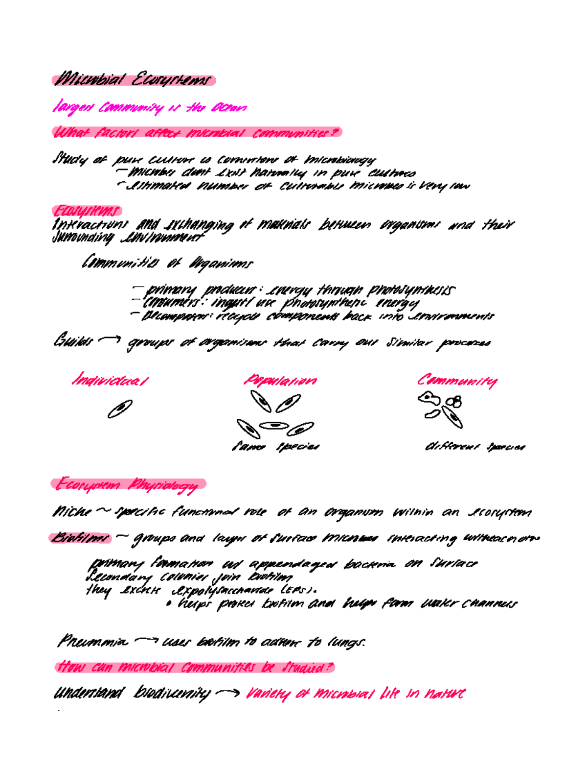 Chapter 14 Microbial Ecosystems - Microbial Ecosystems Largestcommunity ...