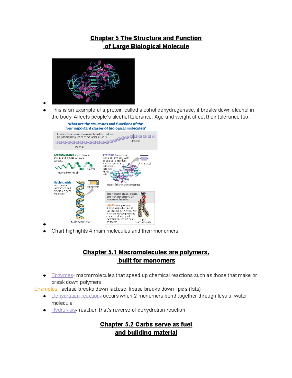 Chapter 5 - Macromolecules - Chapter 5 The Structure and Function of ...