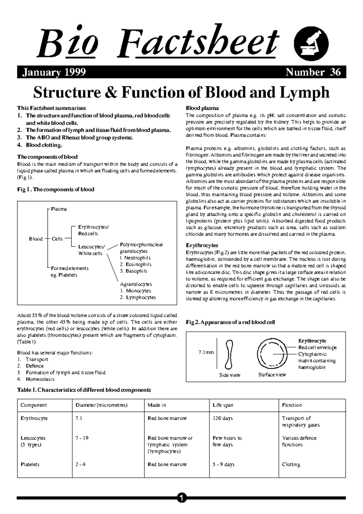 36 blood and lymph - good luck - Structure & Function of Blood and ...