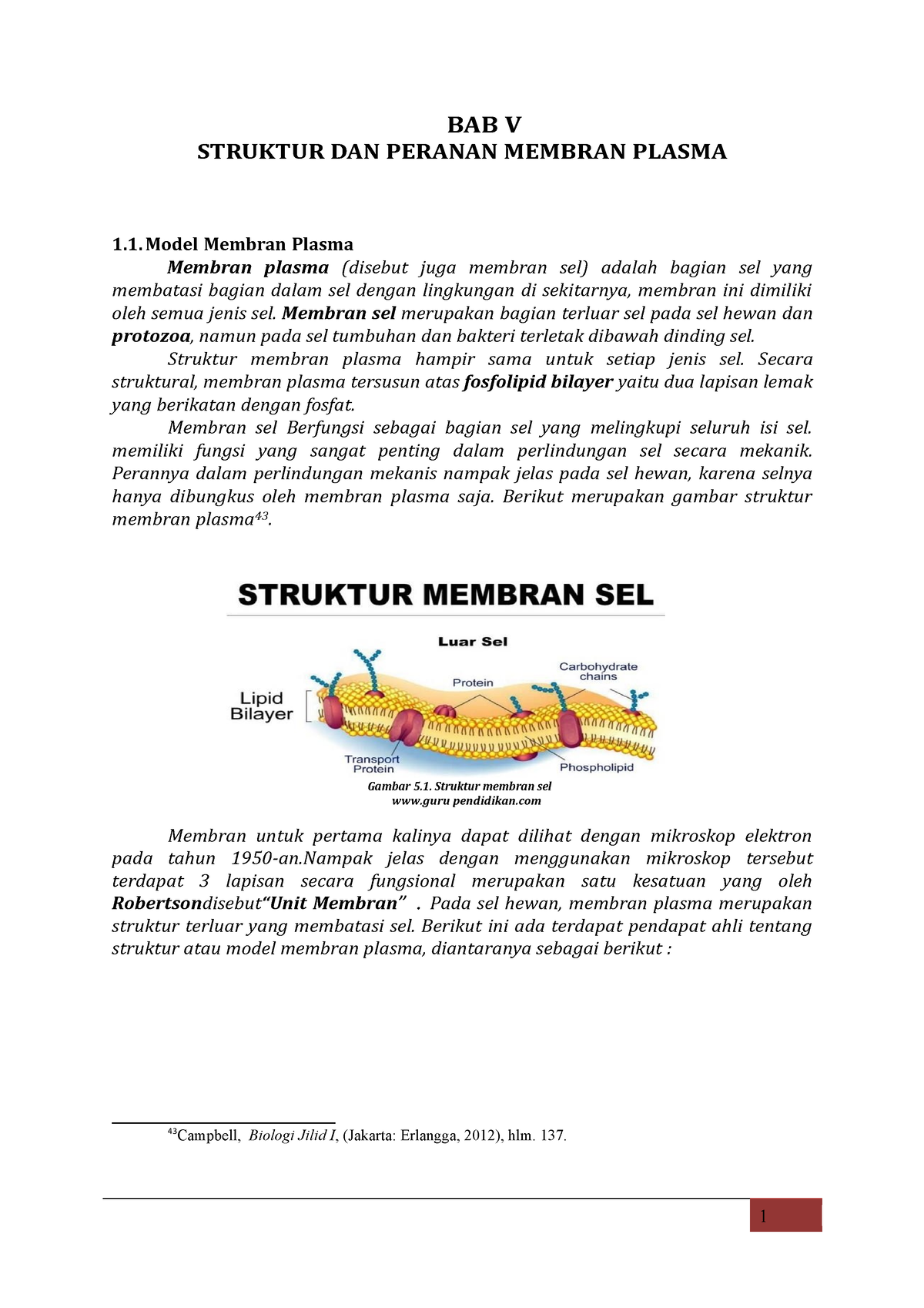 Modul Biologi Sel Bab 5 Struktur Dan Peranan Membran Plasma Bab V