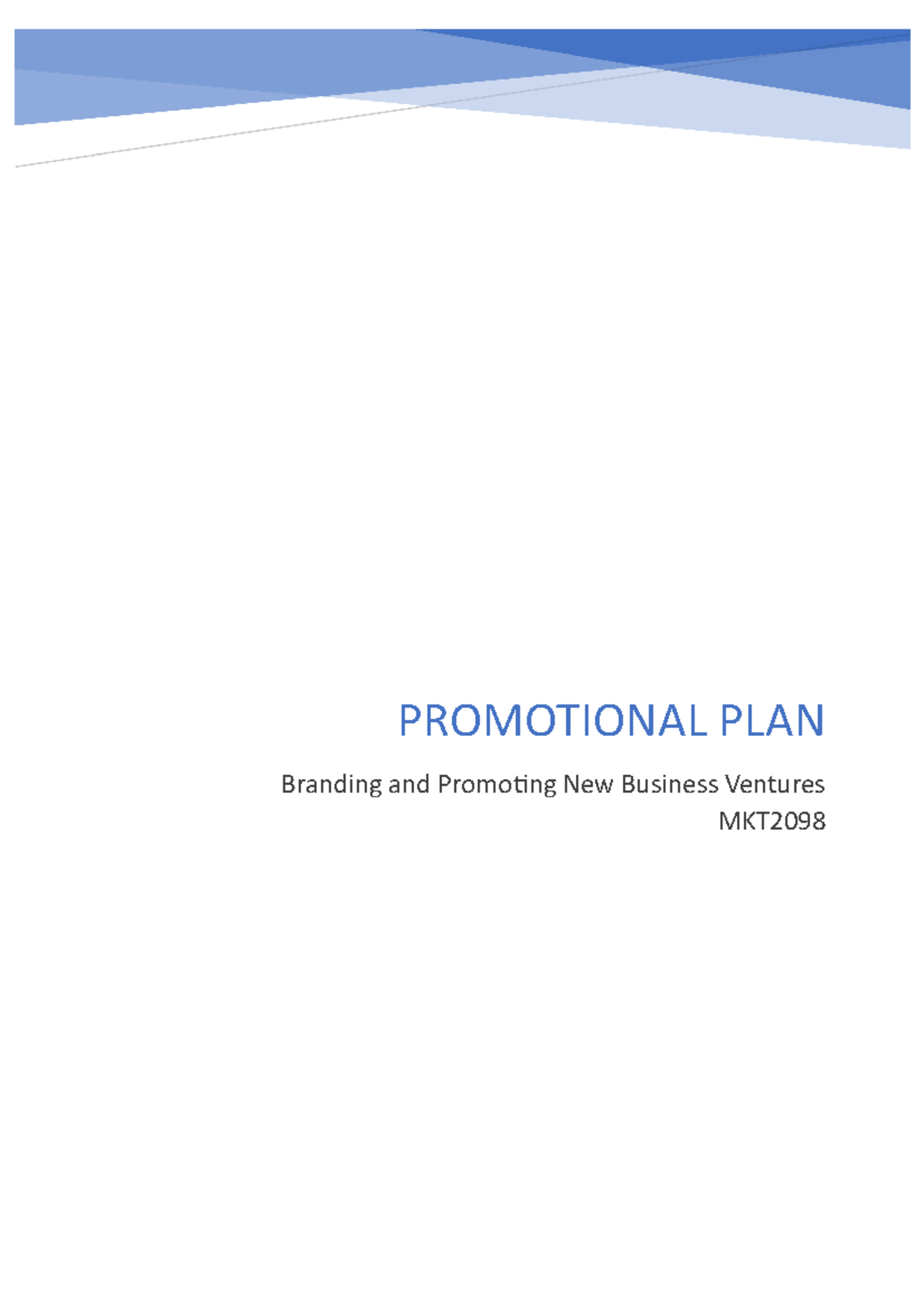 Promotional Plan - Grade: B+ - PROMOTIONAL PLAN Branding and Promoting ...