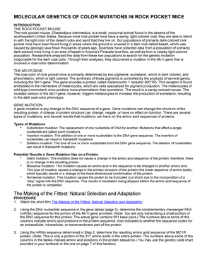 Rock Pocket Hw Questions Molecular Genetics Of Color Mutations In Rock Pocket Mice Introduction Studocu