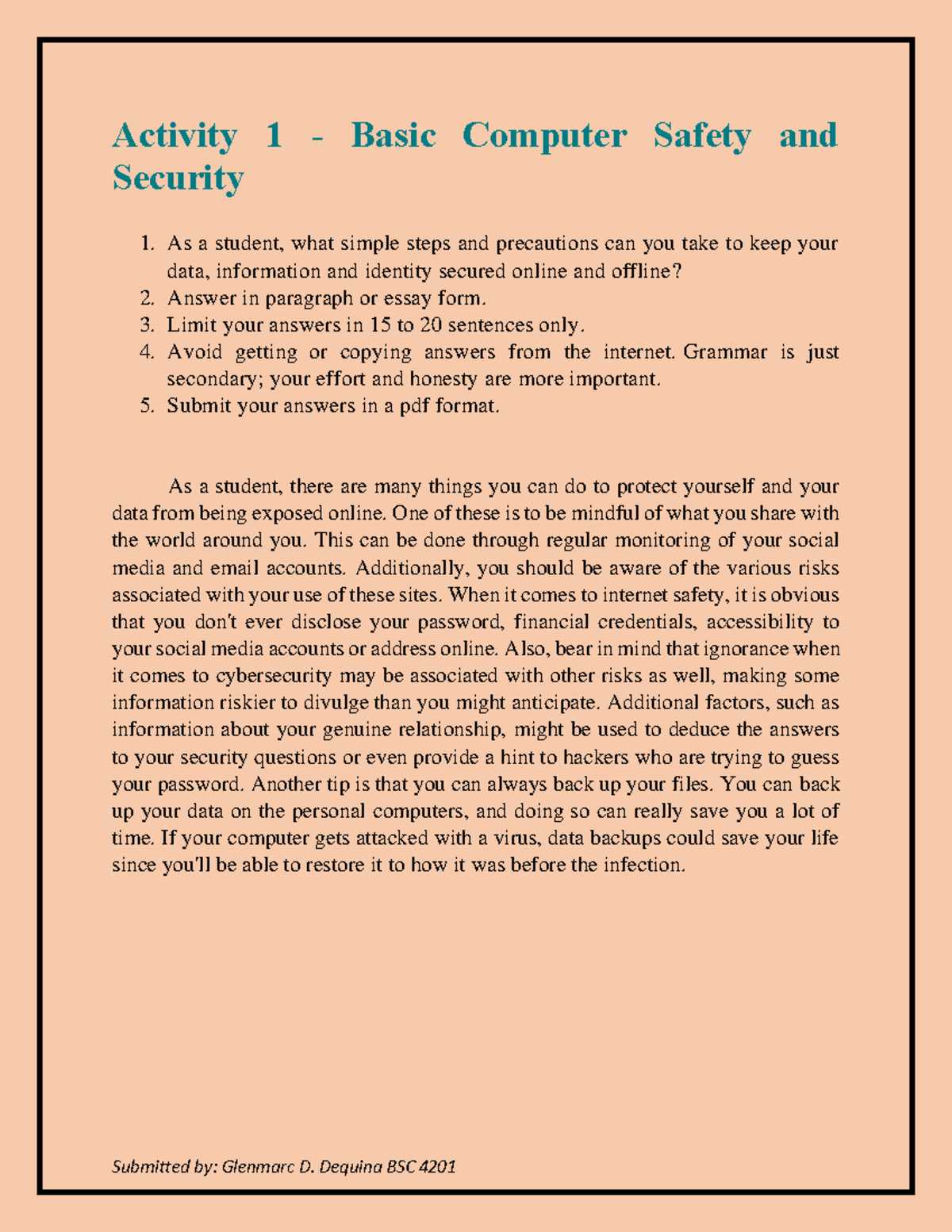 Activity 1 - Basic Computer Safety and Security - Copy - Submitted by ...