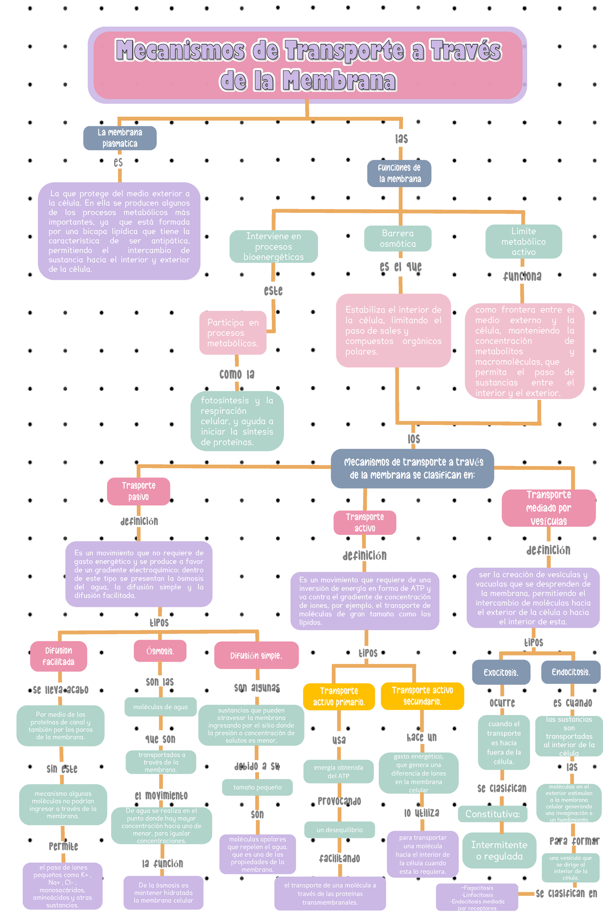 mapa conceptual simple de proteinas