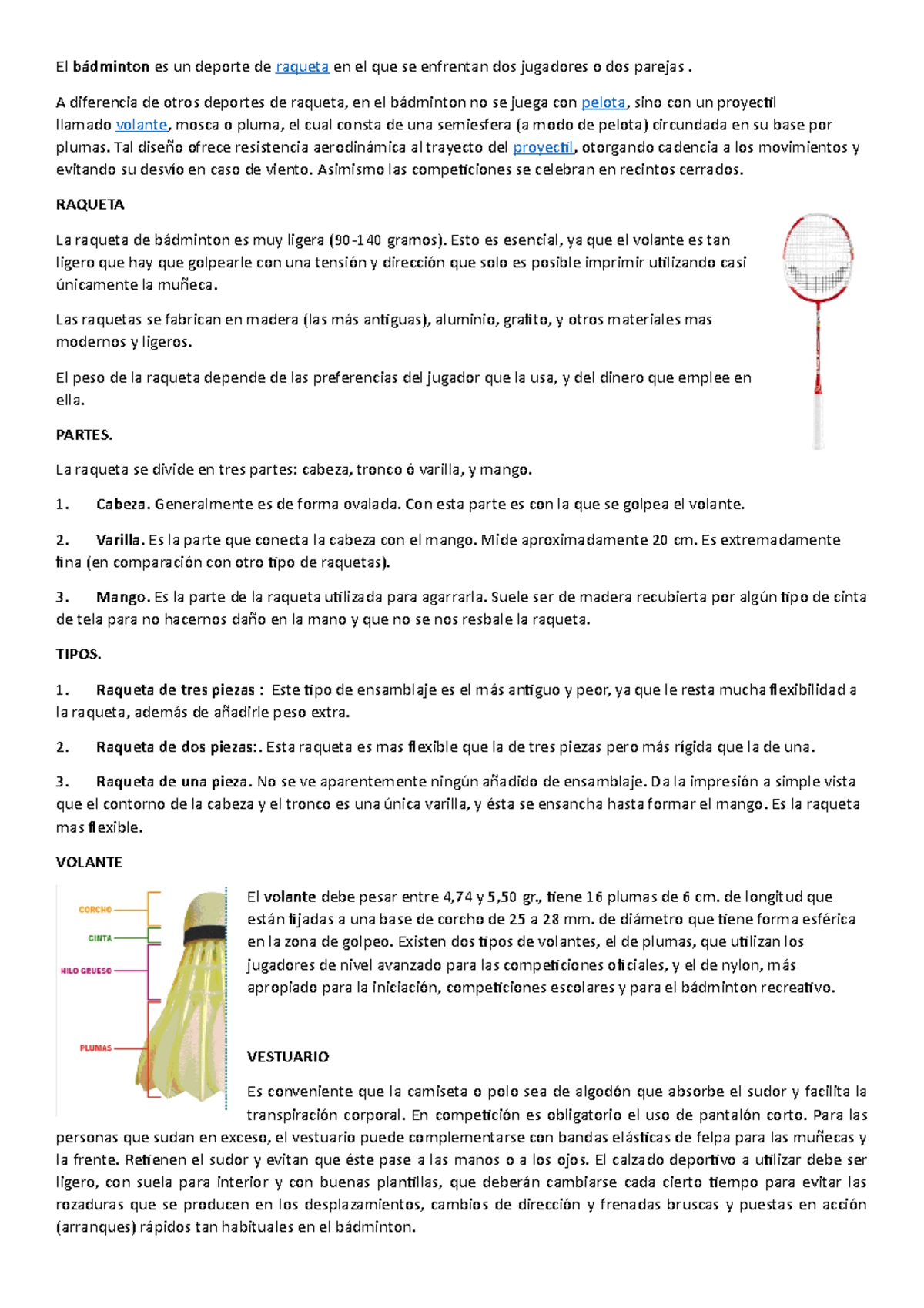 The Basics of Badminton Rules, Equipment, and Court Dimensions Archysport