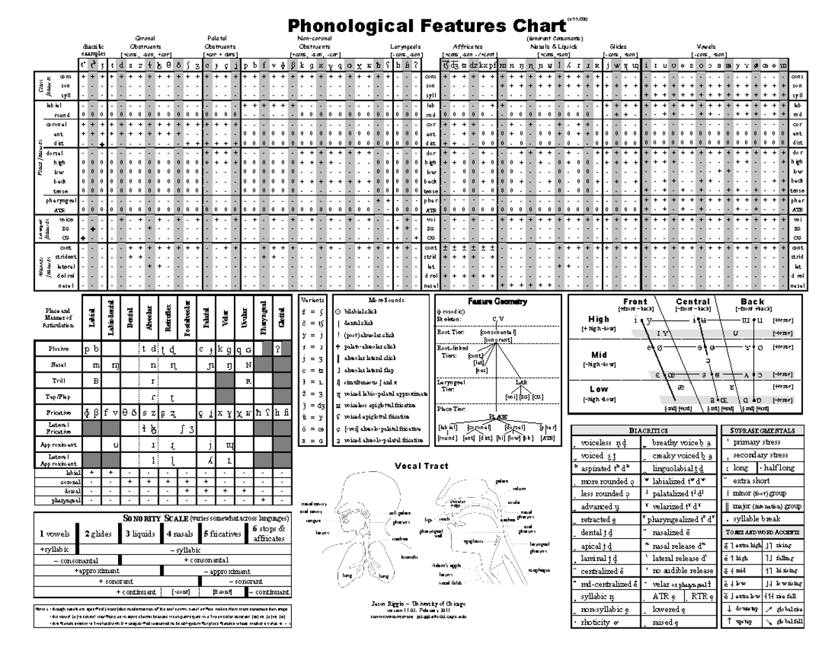 Distinctive Features Phonology Examples