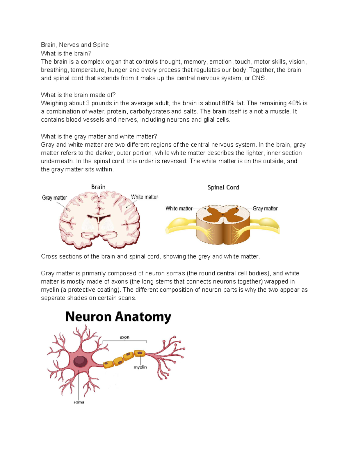 Brain, Nerves and Spine - Together, the brain and spinal cord that ...
