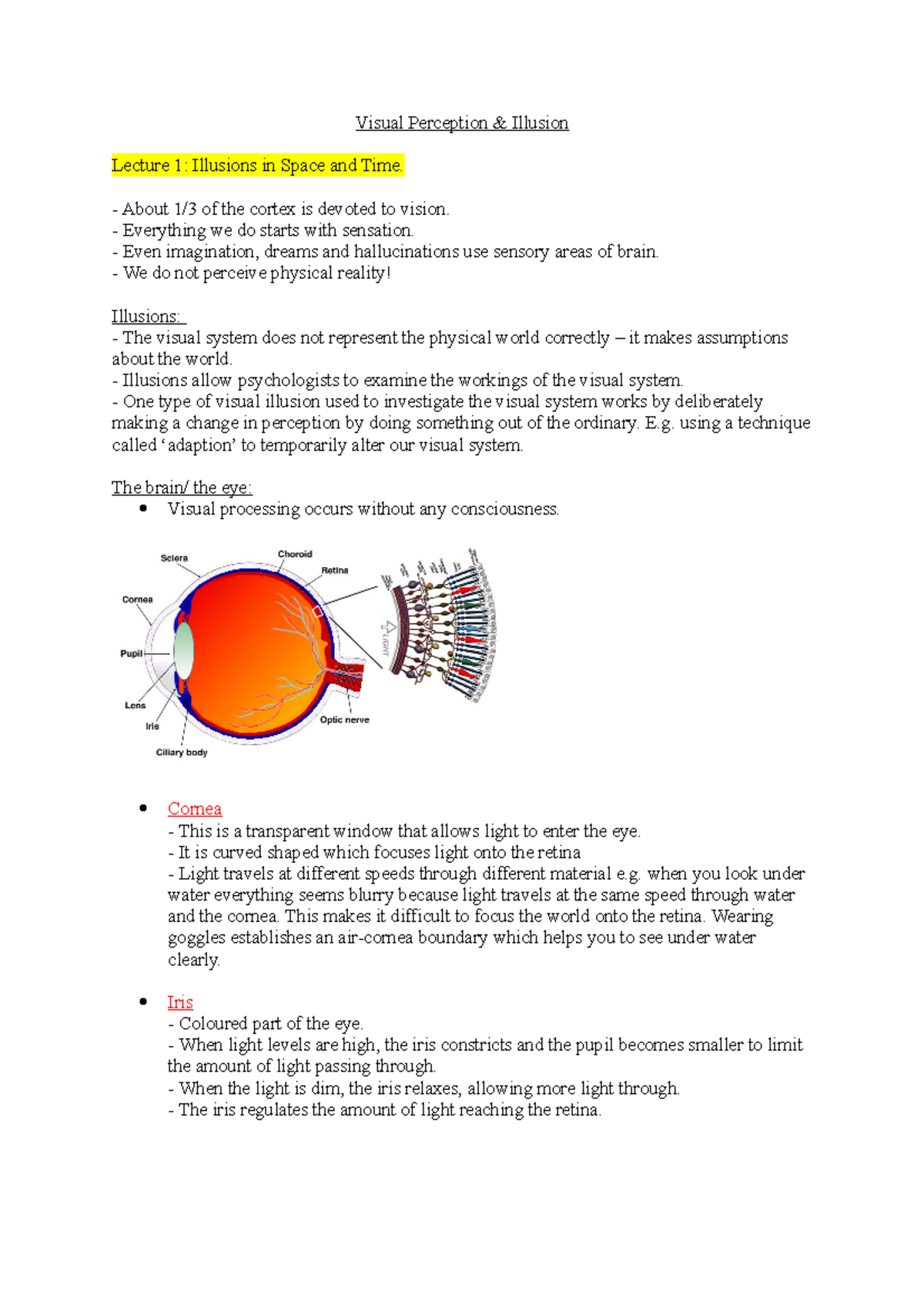 Lecture 1- Visual Perception - Visual Perception Illusion Lecture 1 ...