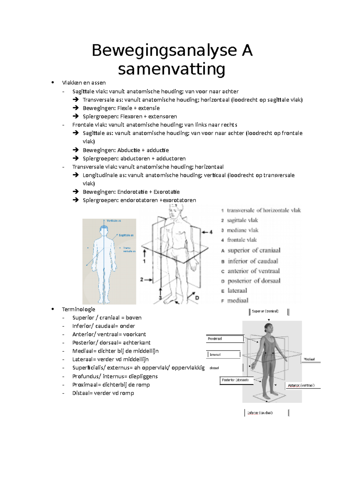 Bewegingsanalyse A Samenvatting - Bewegingsanalyse A Samenvatting ...