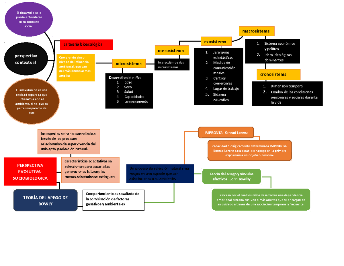 Perspectivas Teóricas , Contextual , Evolutiva - Organizador Visual ...