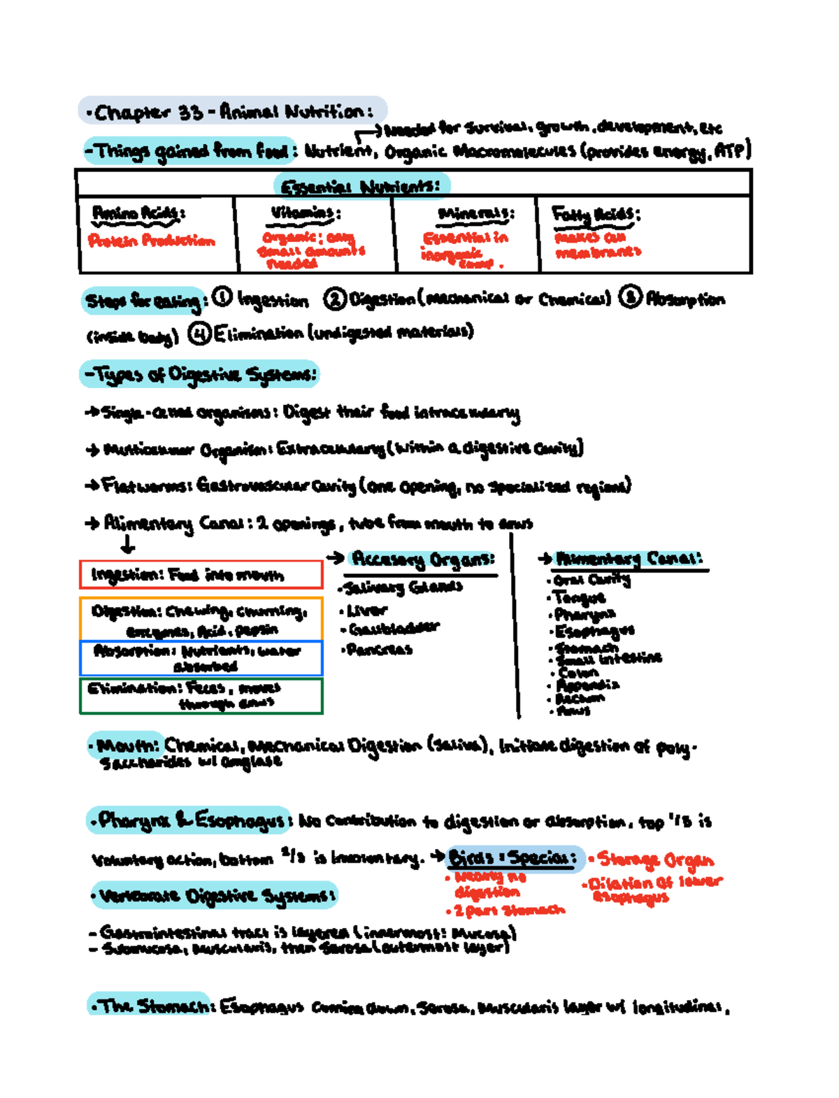 Chapter 33 - Chapter 33 Animal Nutrition ####### f Neededfor survival ...