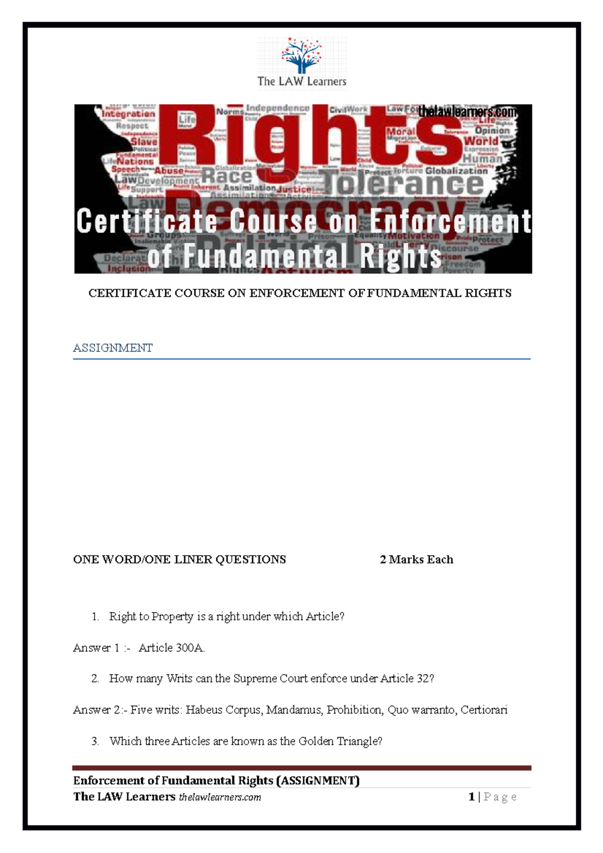 assignment-enforcement-of-fundamental-rights-certificate-course-on