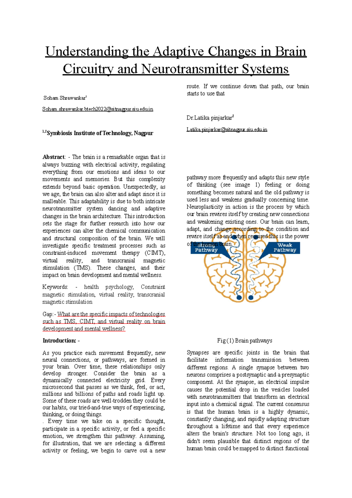 Research paper finaldraft - Understanding the Adaptive Changes in Brain ...