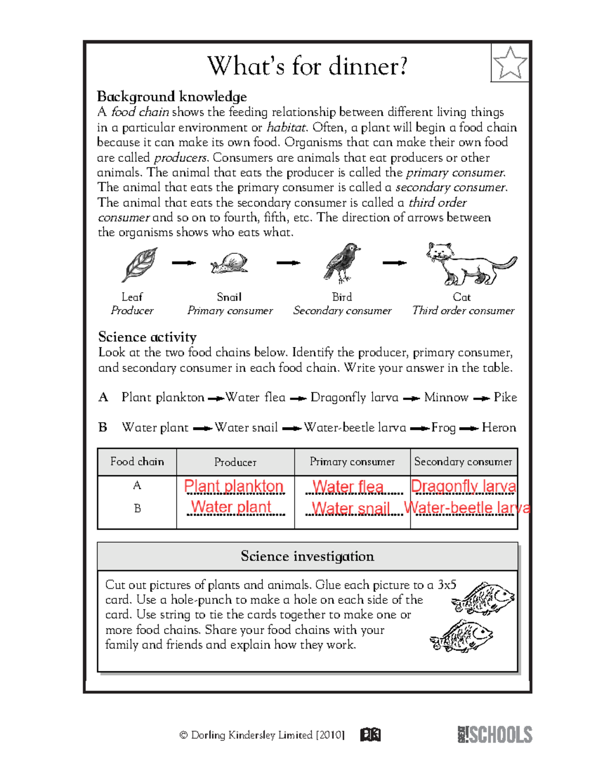 what-s-for-diner-what-s-for-dinner-background-knowledge-a-food-chain-shows-the-feeding-studocu