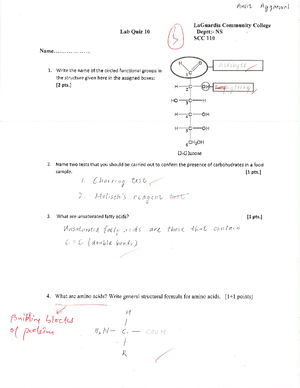 SCC110 Lab Final Exam+ Answer key - Amit Aggarwal, Ph. SCC 110 ...