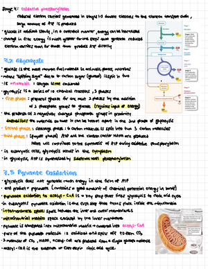 Week 9b Pre-Class Reading Guide - PCR, Tandem Repeats, & Genome ...