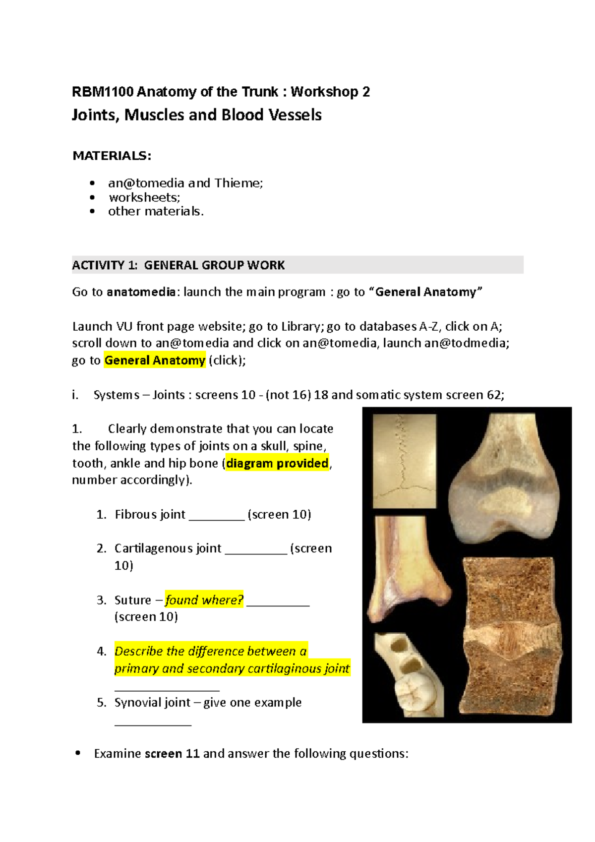 RBM1100 Anatomy of the Trunk studentworksheet 2A - RBM1100 Anatomy of ...