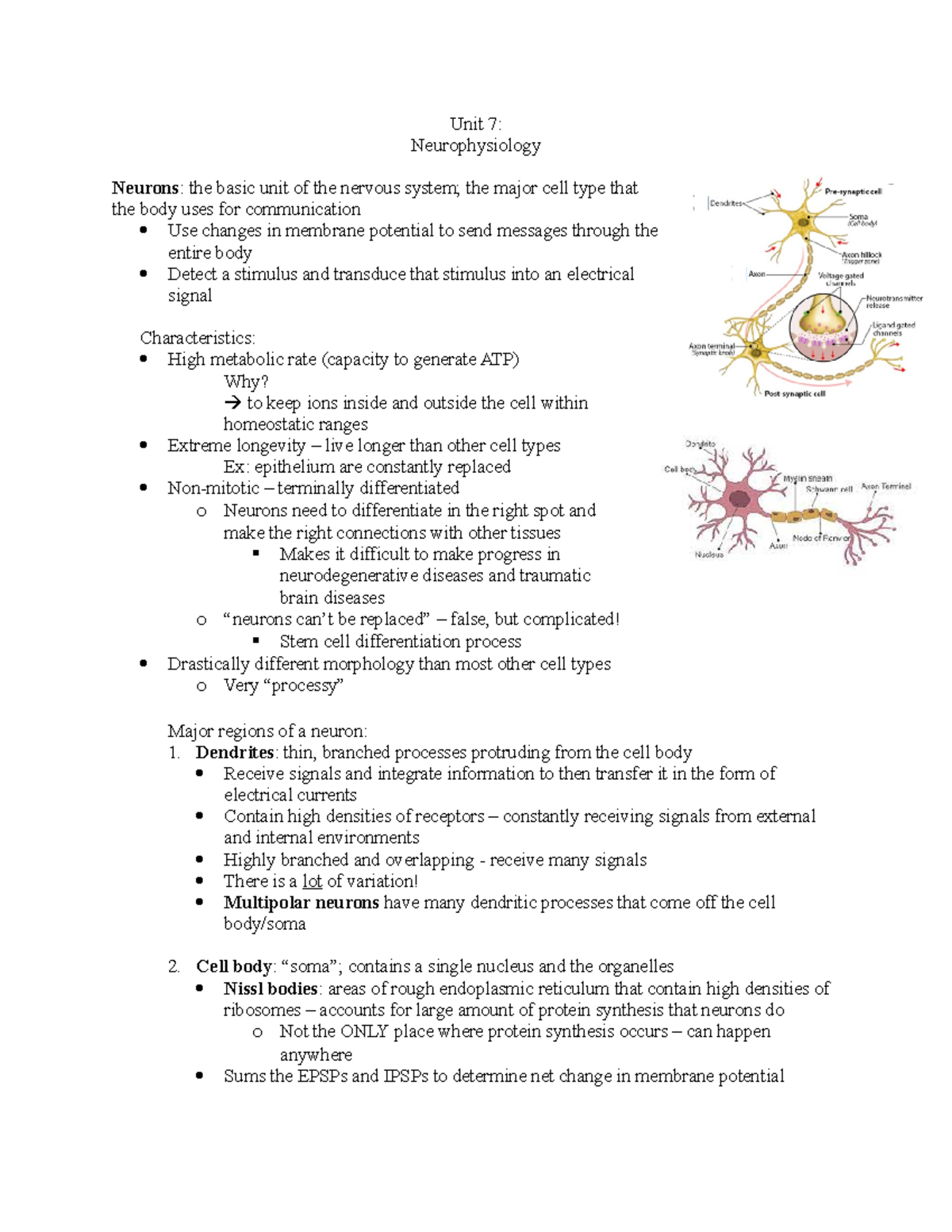 Unit 7 - Neurophysiology - Unit 7: Neurophysiology Neurons: the basic ...