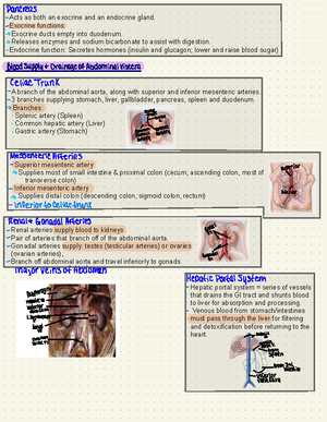 Mini Lectures 7 - Lecture notes over medical imaging, the different ...