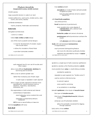 Phylum Protozoa - Elaborate notes - PHYLUM PROTOZOA The Protozoa are ...
