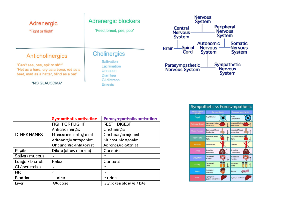 Neuro drugs - Sympathetic activation Parasympathetic activation OTHER ...