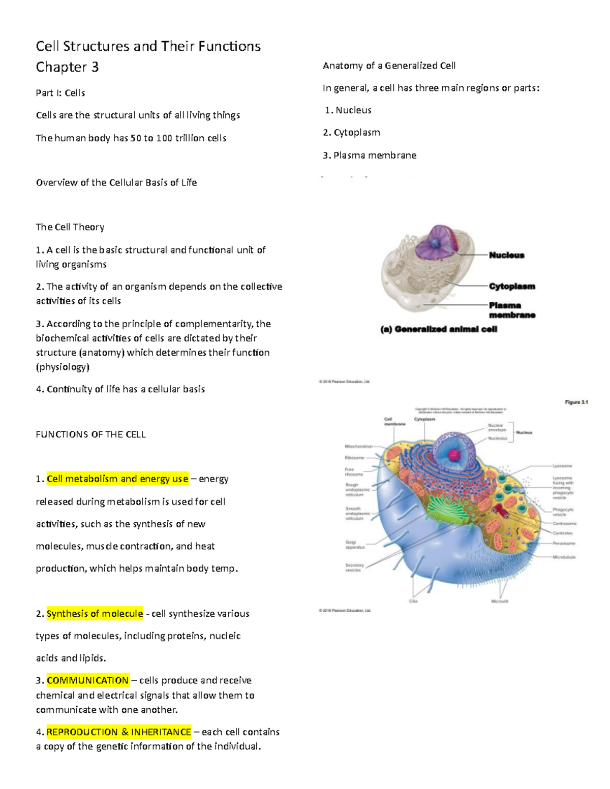 Cell Structures and Their Functions Chapter 3 - Synthesis of molecule ...