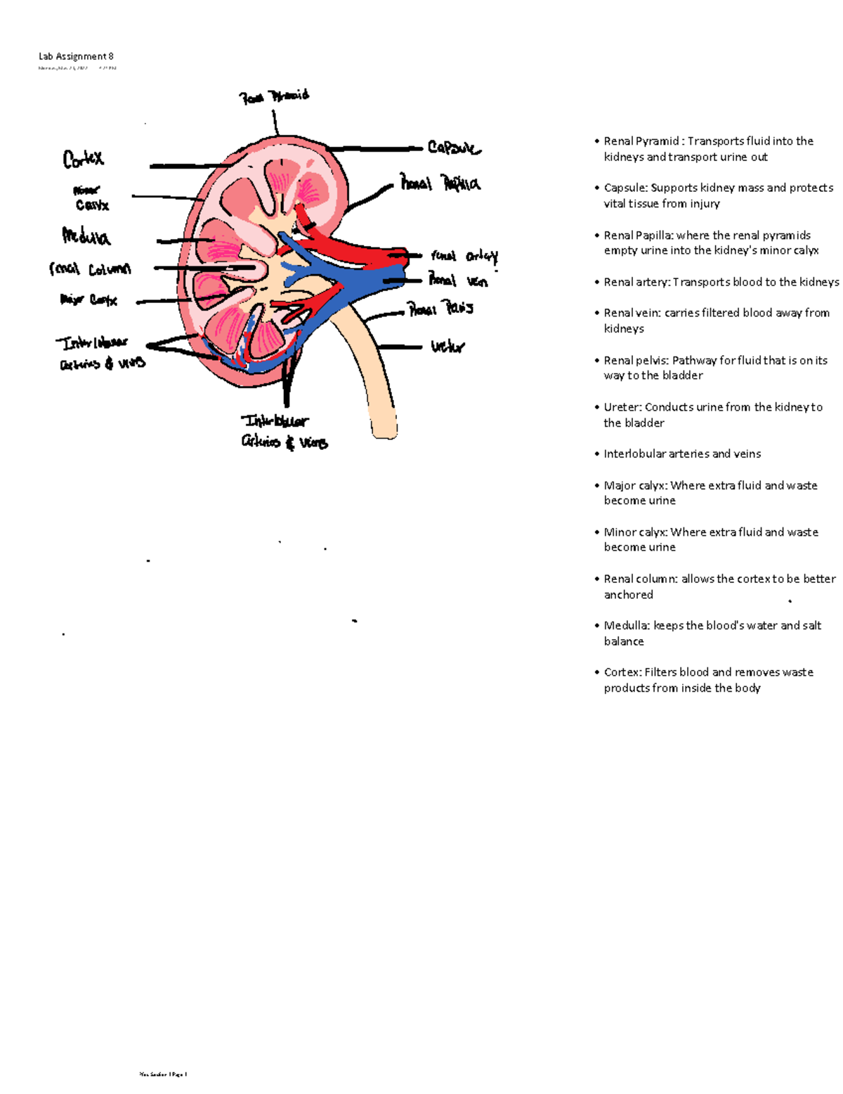 assignment of kidney