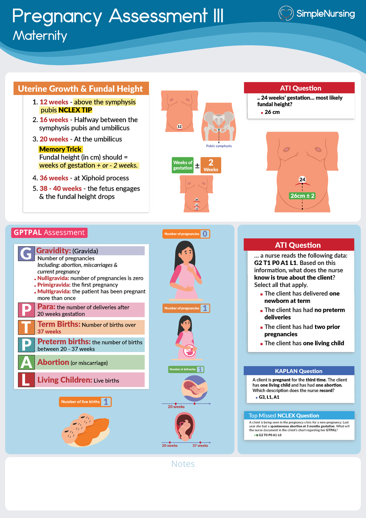 3 - Gptpal Assessment - Simple Nurse - Pregnancy Assessment III ...