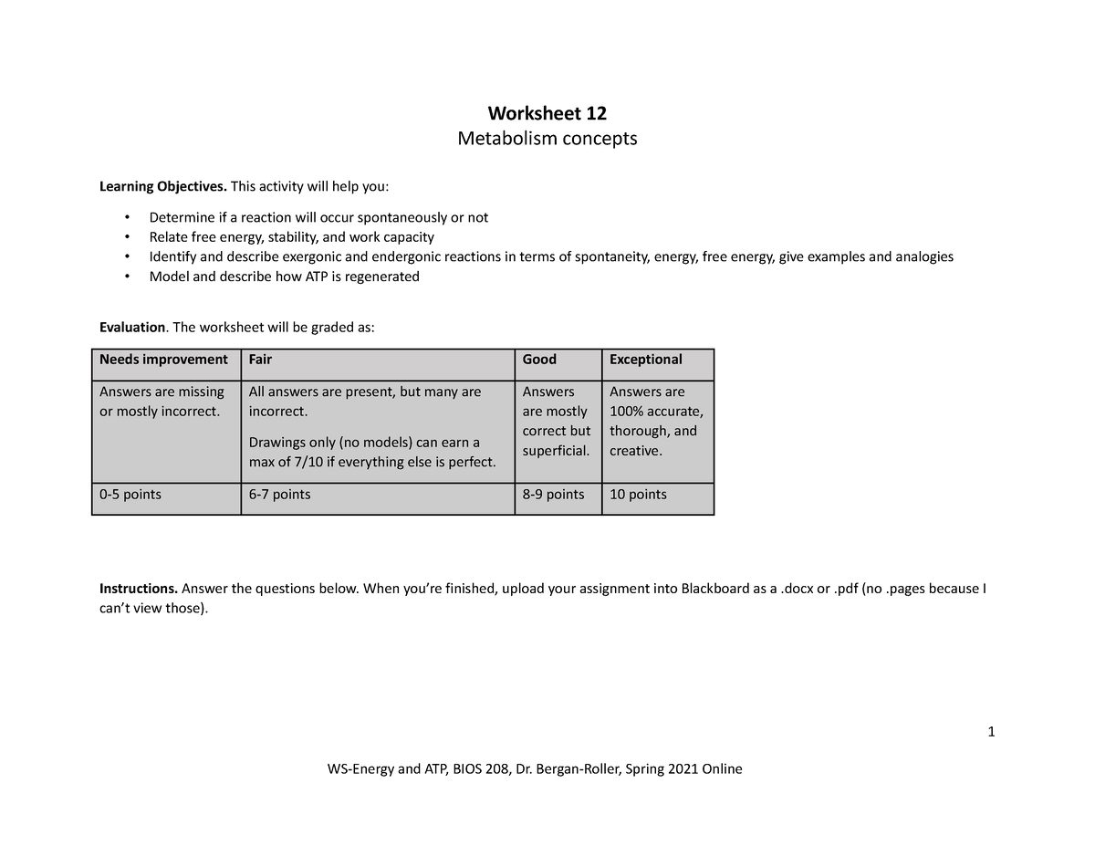 Worksheet 12 Energy and ATP Worksheet 12 Metabolism concepts Learning