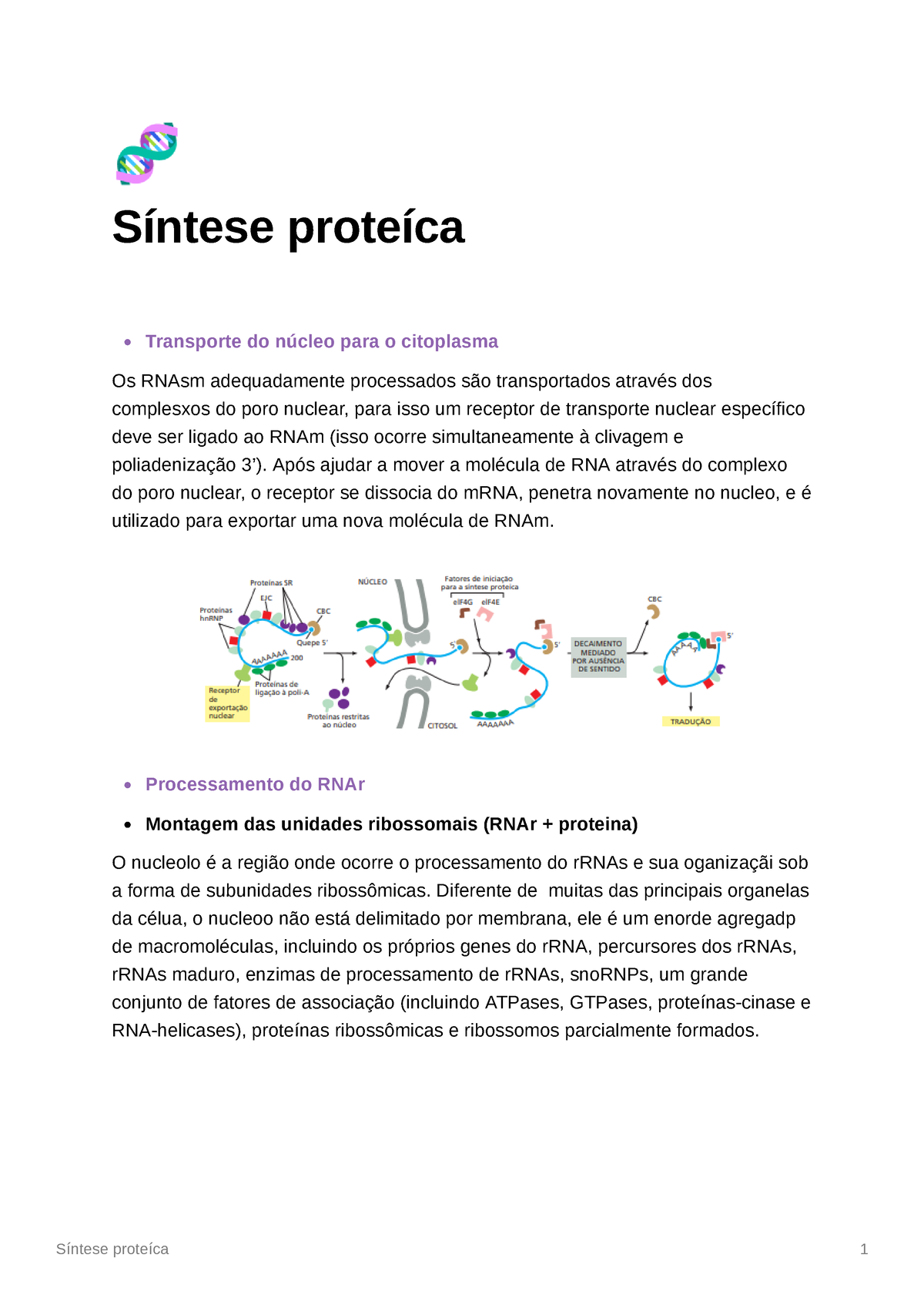 SOLUTION: Tradução e síntese proteica - Studypool
