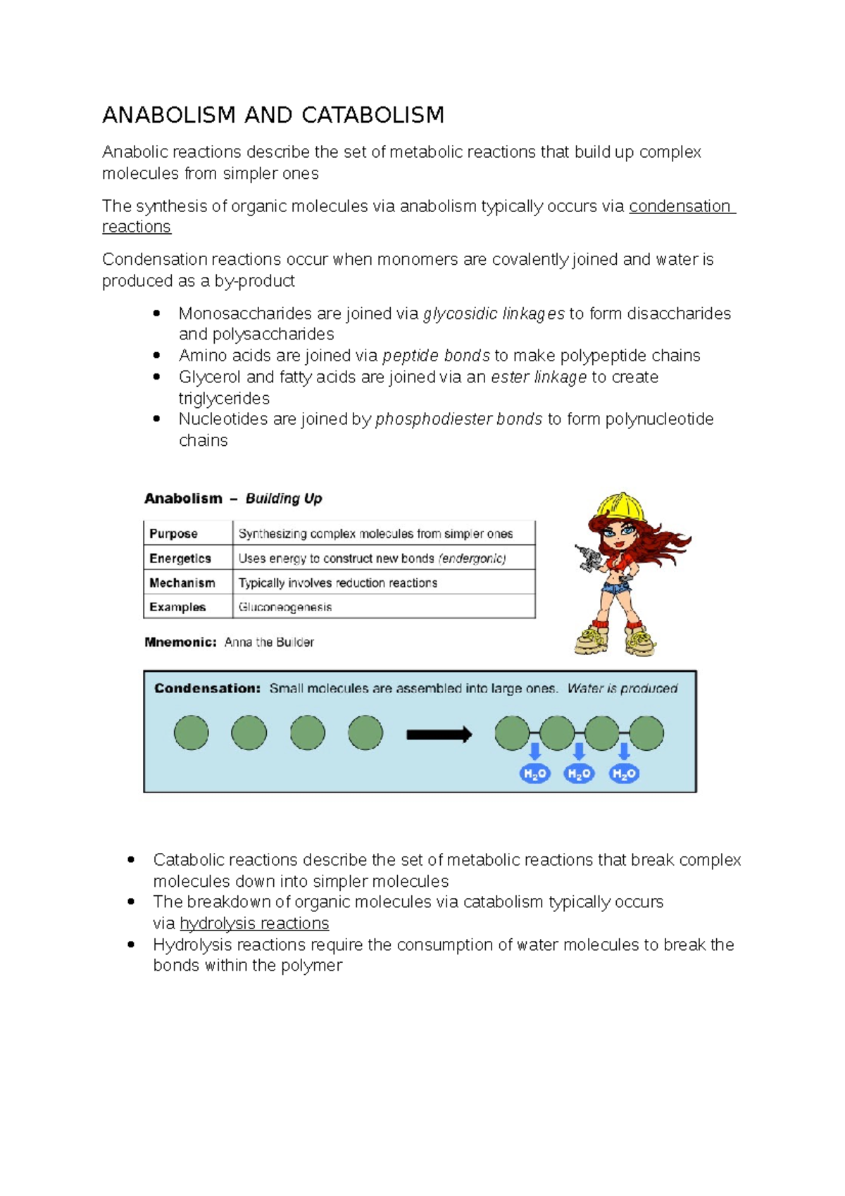 Molecular Biology Notes BIO cohesive and adhesive properties ...