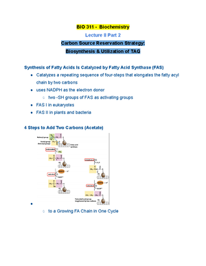 Lecture - BIO 311 - Studocu