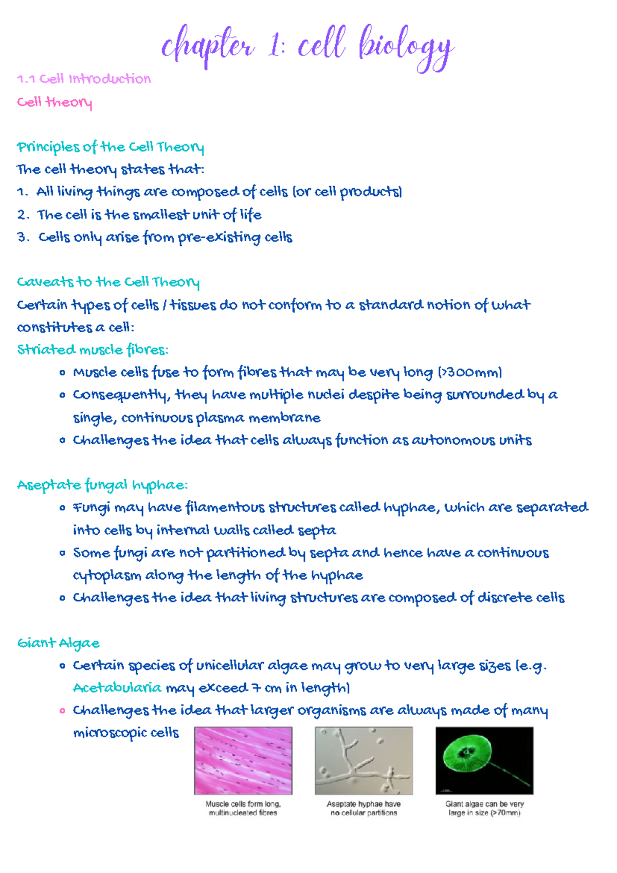 cell biology - 1 - 1 Cell Introduction Cell theory Principles of the ...