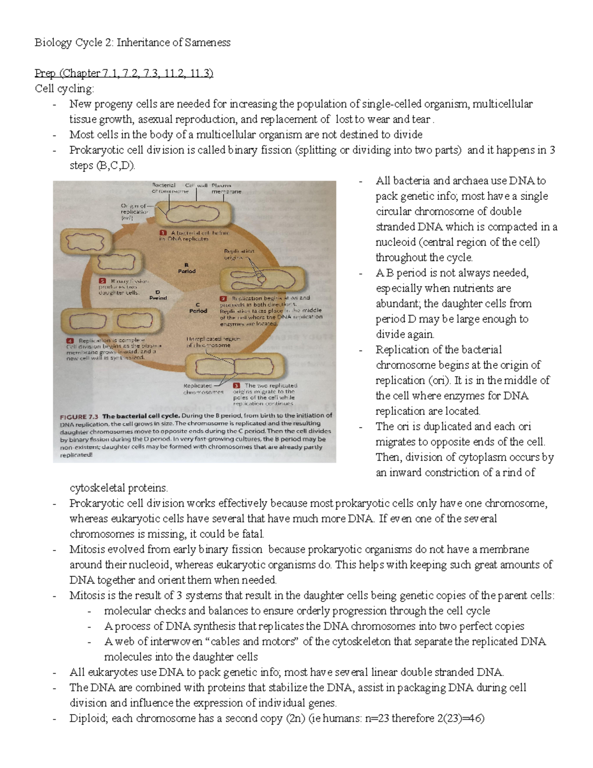 Biology 1001a cycle 2 notes - Biology Cycle 2: Inheritance of Sameness ...